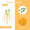 24 Pack Orange Wisteria Hanging Flowers Garland, 3.77 Feet Artificial Flower Vines, Fake Wisteria, Artificial Vines Hanging Garland for Backdrop Outdoor Yard Garden Decor